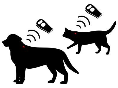 Pet Microchip Viaguard